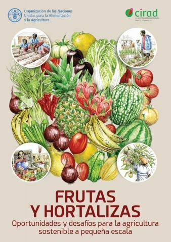 Frutas Y Hortalizas Oportunidades Y Desaf Os Para La Agricultura