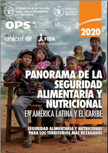 Panorama de la Seguridad Alimentaria y Nutricional 2020