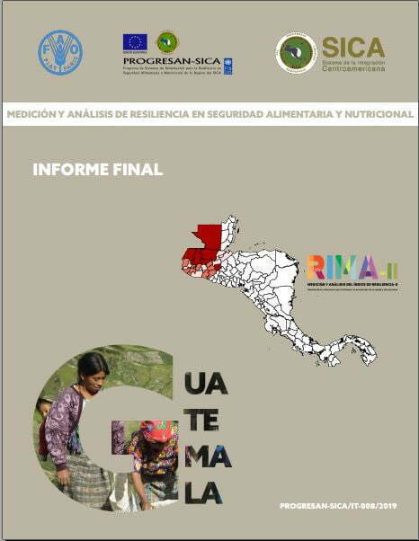 Revisión y análisis de la resiliencia en SAN en Guatemala. Informe final 2019