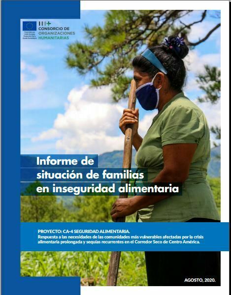 Informe de situación de familias en inseguridad alimentaria 2020