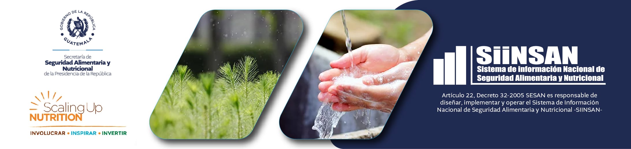 19012024 - Banners web-03