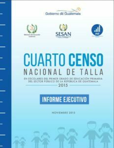 Informe Ejecutivo