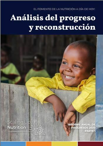 Scailing Up Nutrition 2020 Parte 1: El fomento de la nutrición a día de hoy: Análisis del progreso y construcción