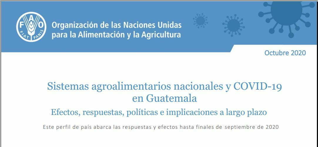 Sistemas Agroalimentarios Nacionales y Covid en Guatemala