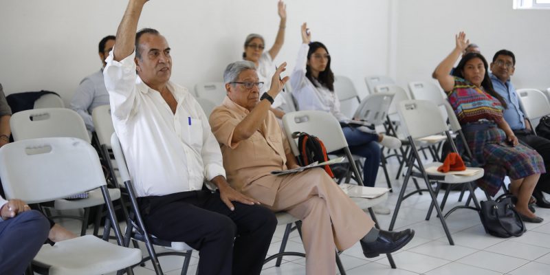 Asamblea ONG Asamblea ONG