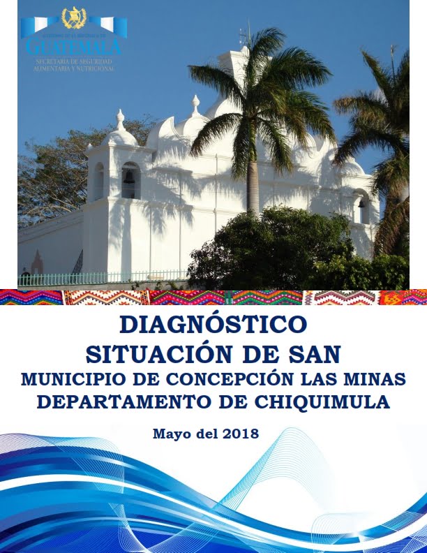 Diagnóstico Situación SAN Concepción Las Minas