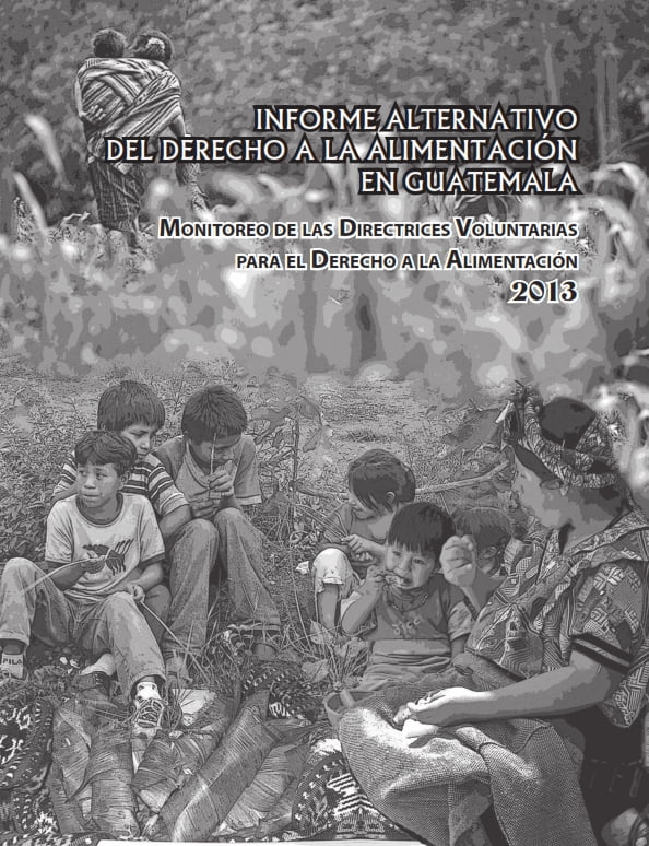 Informe Alternativo de Derecho a la Alimentación en Guatemala 2013
