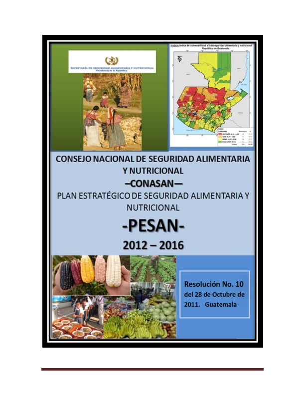 Plan Estratégico de Seguridad Alimentaria y Nutricional -PESAN 2012/2016-