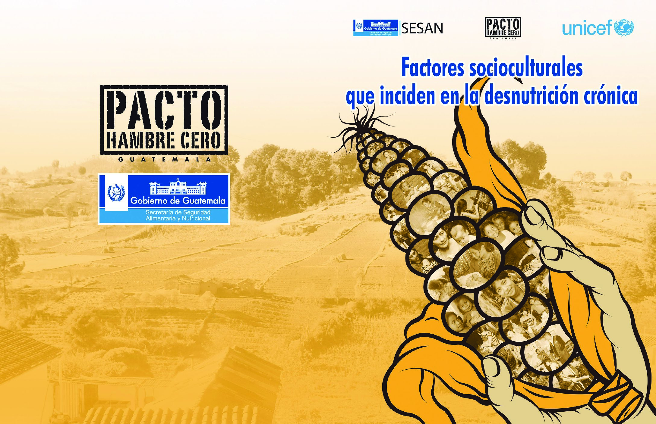 Factores Socioculturales que Inciden en la Desnutrición crónica