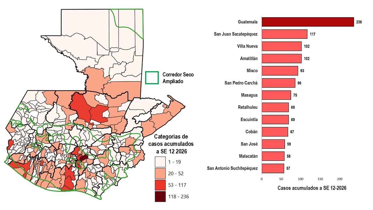 d12 Carga municipal DA SE12 2026