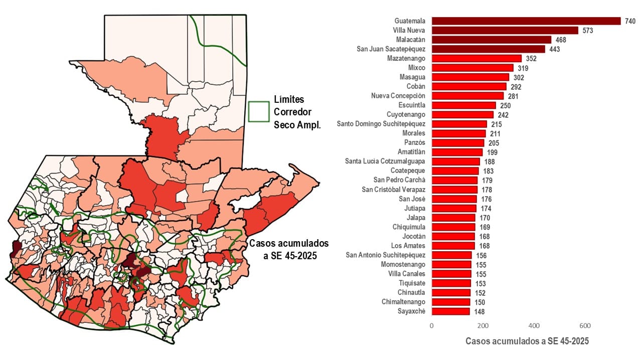 d45 Carga municipal DA SE 45-2025
