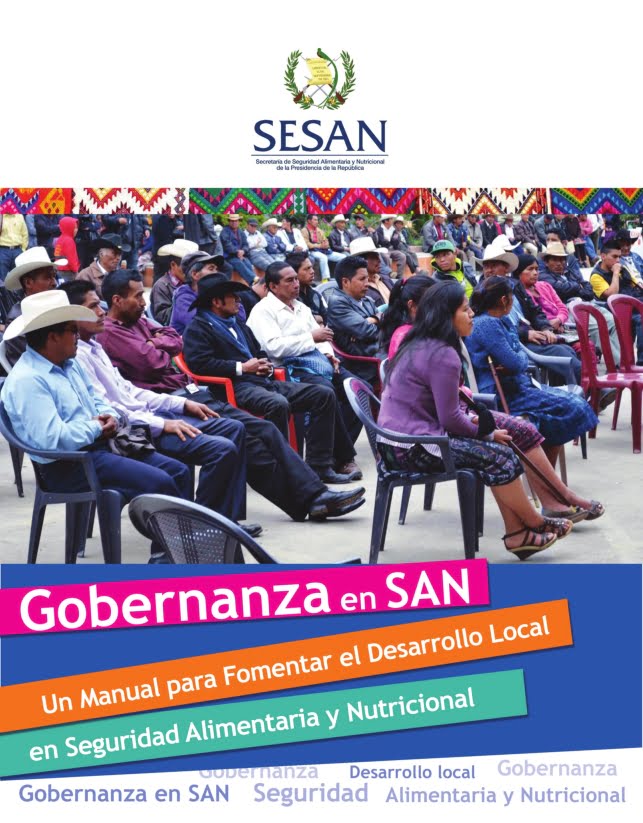Manual Gobernanza en SAN